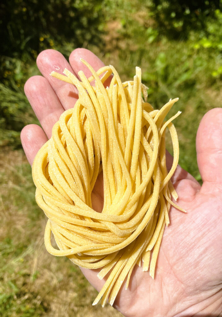 Spaghetti alla Chitarra mit Gorgonzola